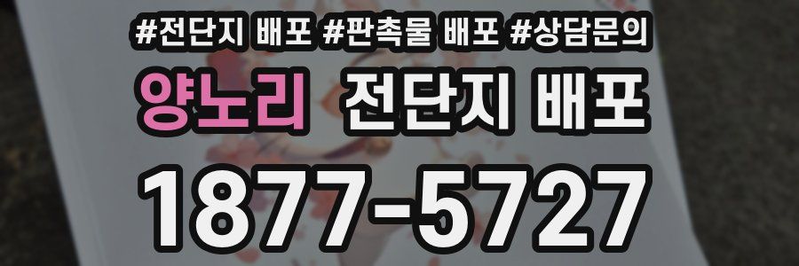 양노리 전단지 배포