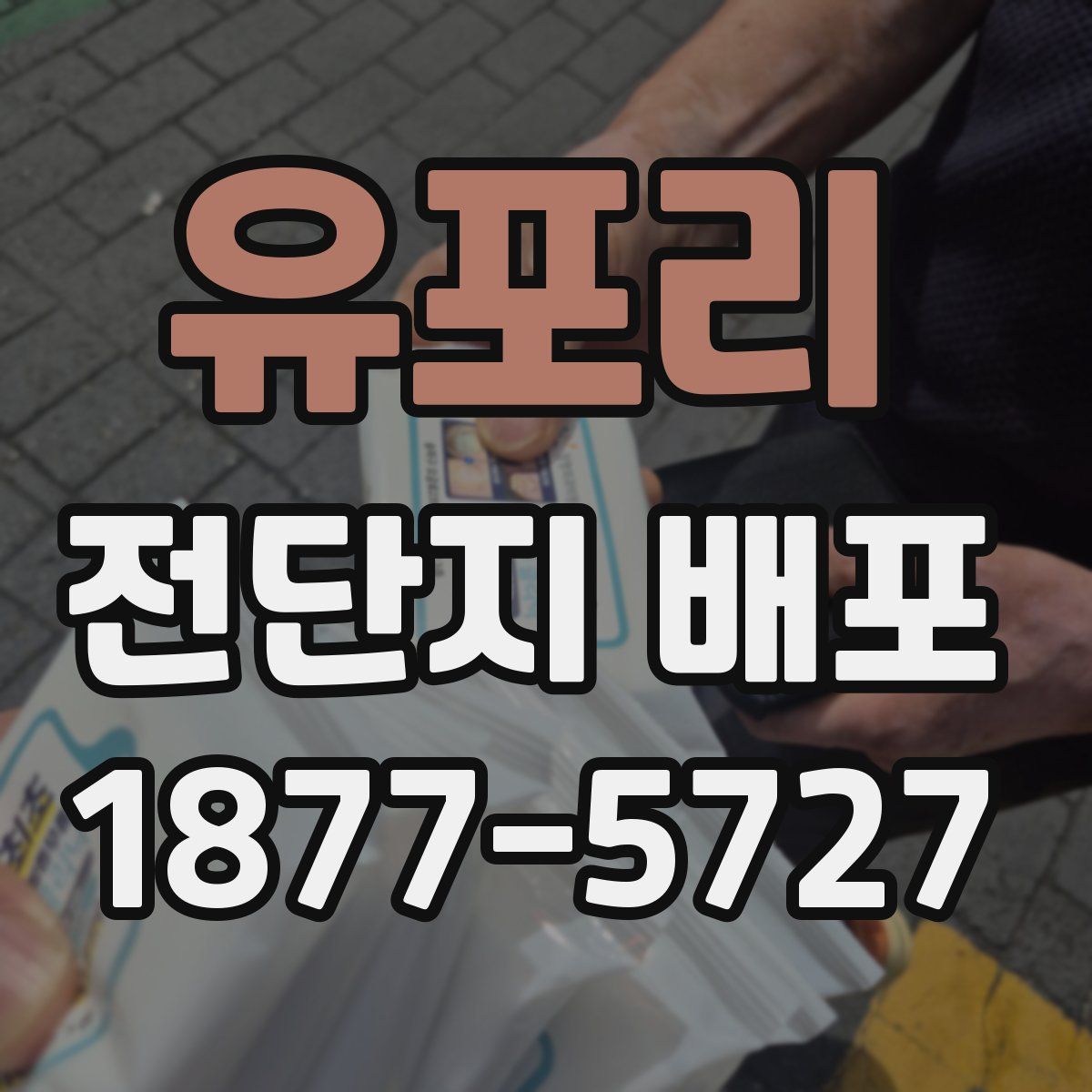 유포리 전단지 배포