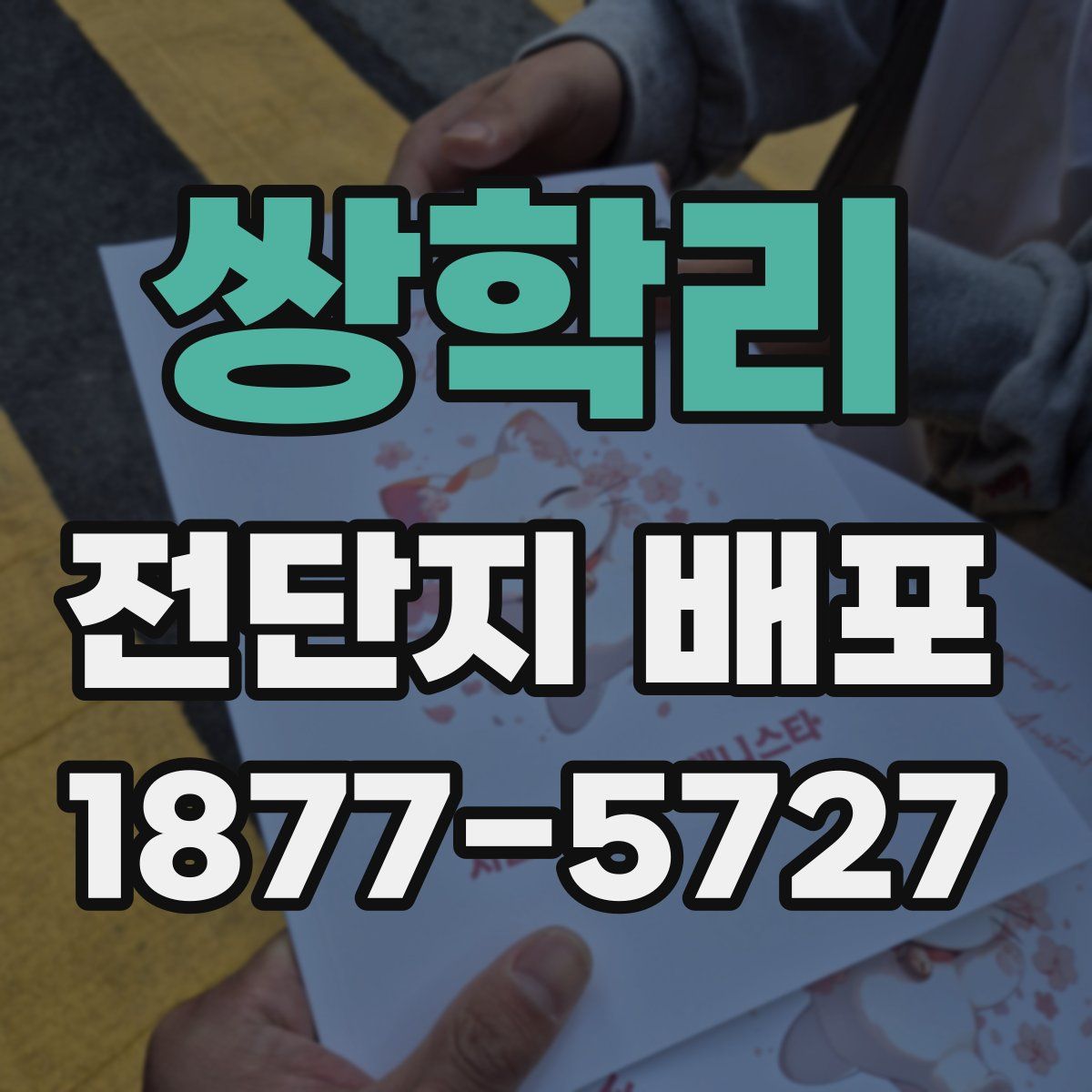 쌍학리 전단지 배포