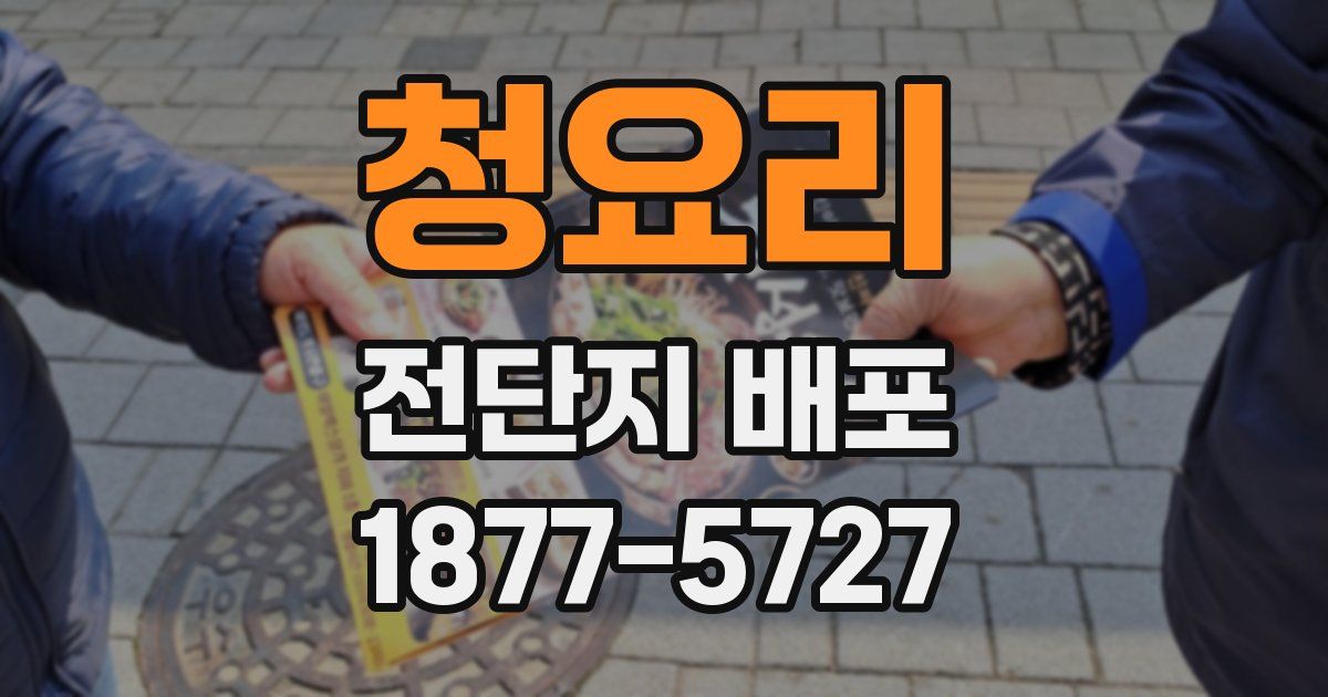 청요리 전단지 배포
