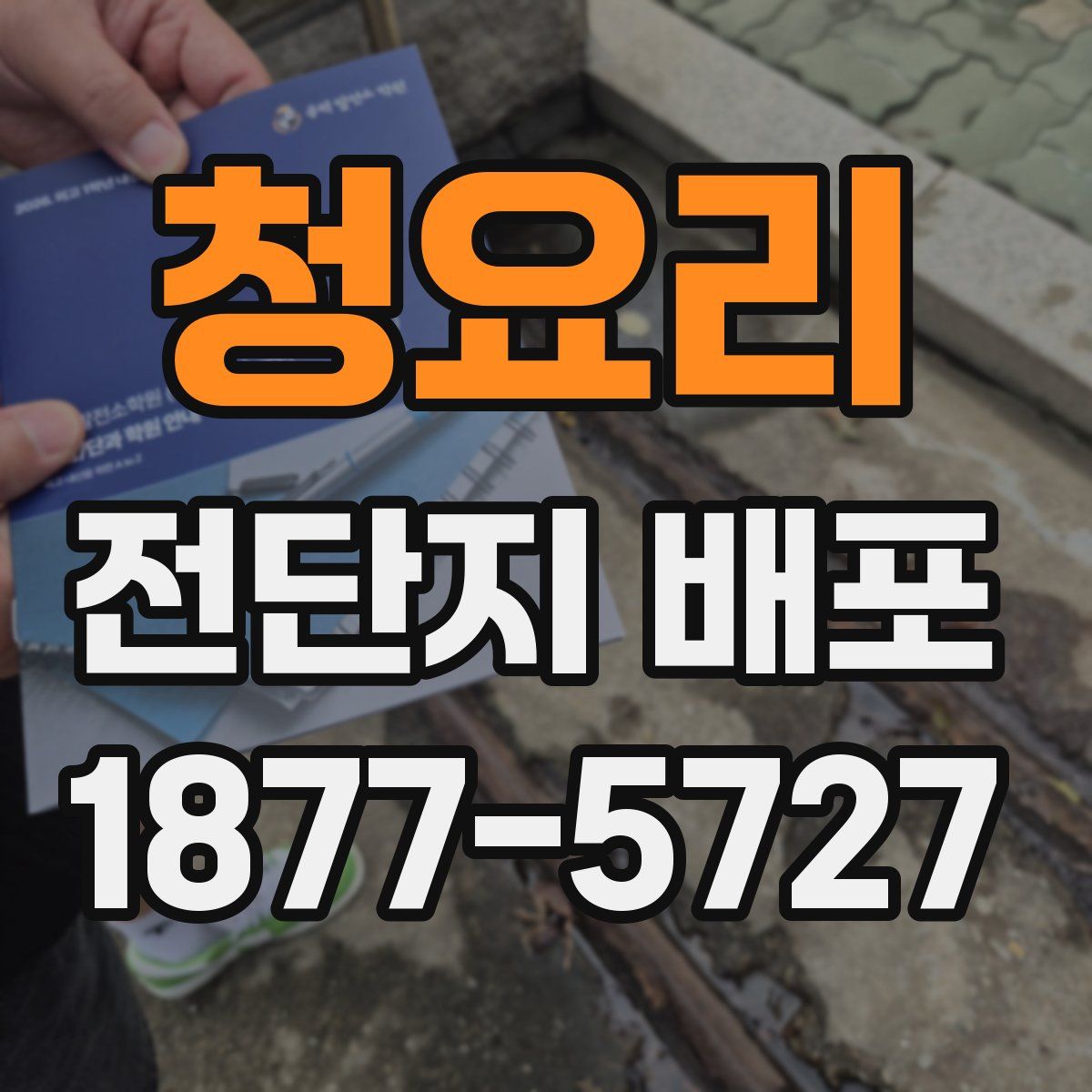 청요리 전단지 배포