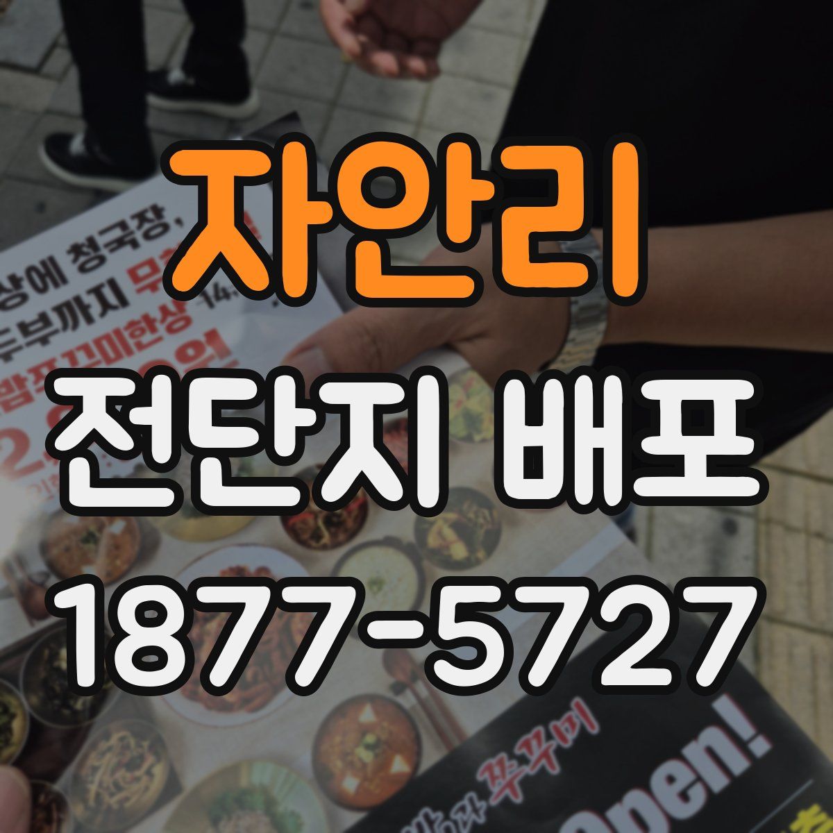 자안리 전단지 배포