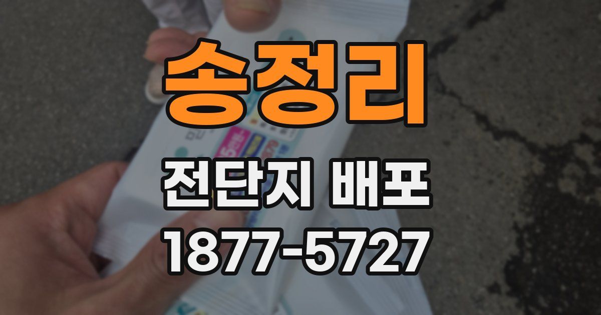 송정리 전단지 배포
