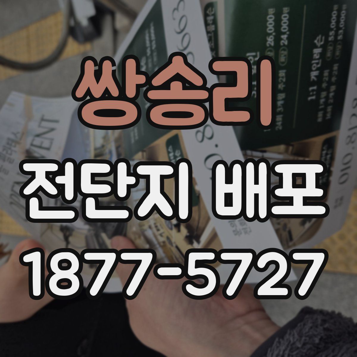 쌍송리 전단지 배포