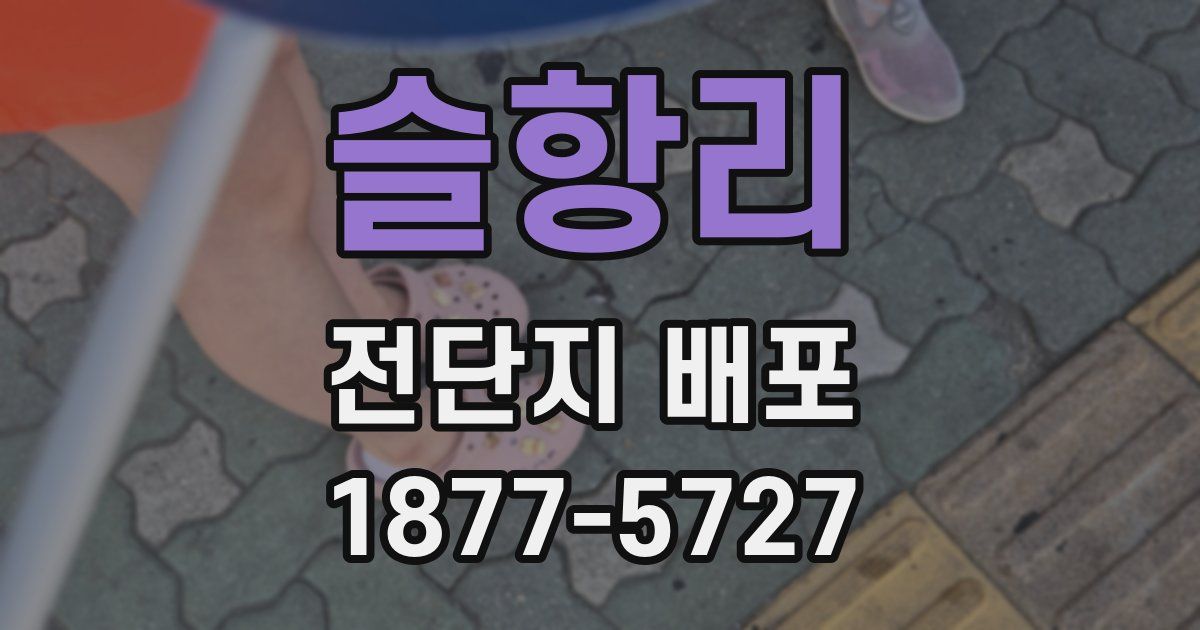 슬항리 전단지 배포