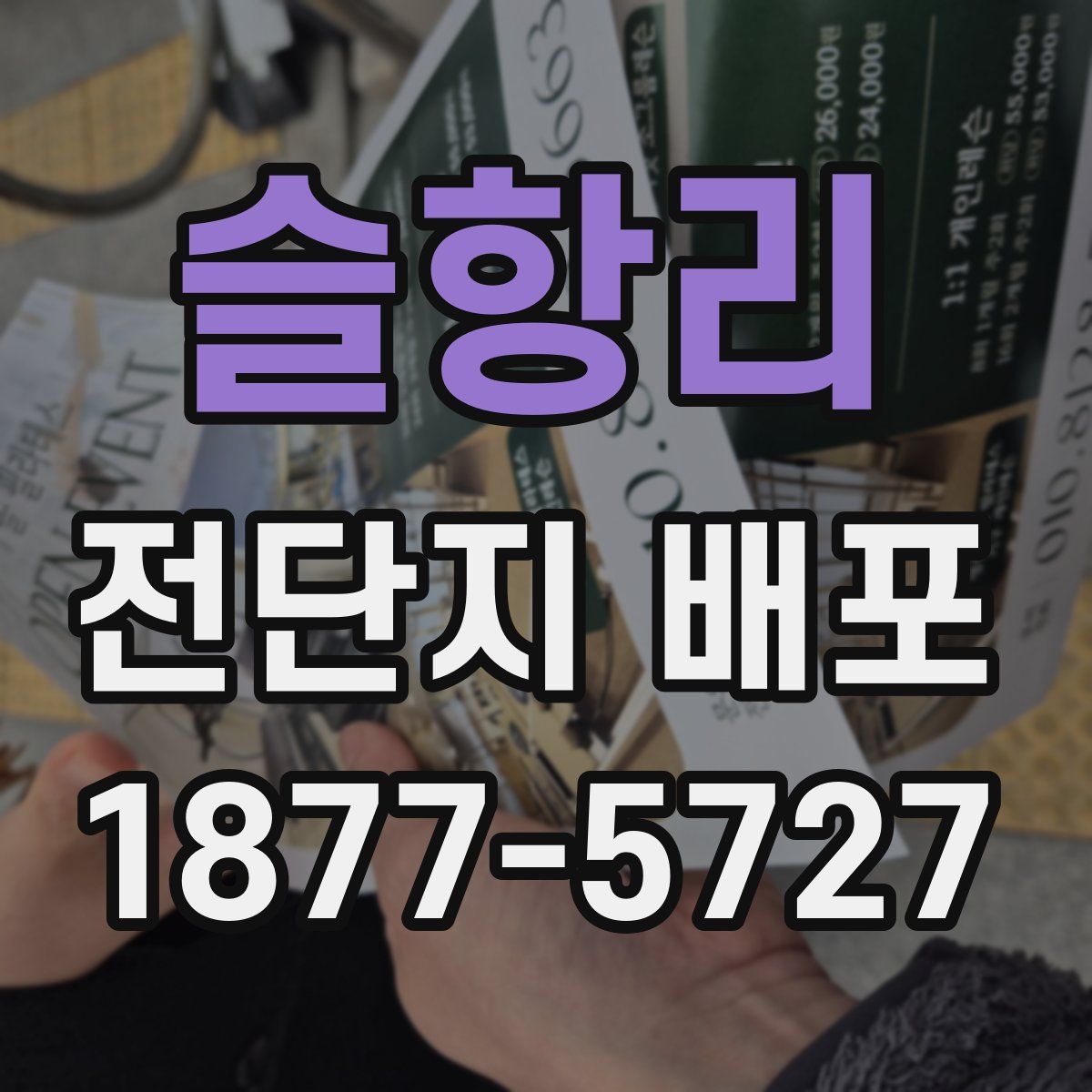 슬항리 전단지 배포