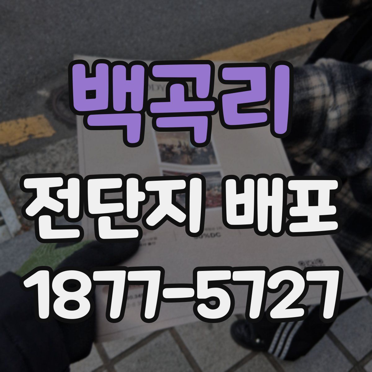 백곡리 전단지 배포