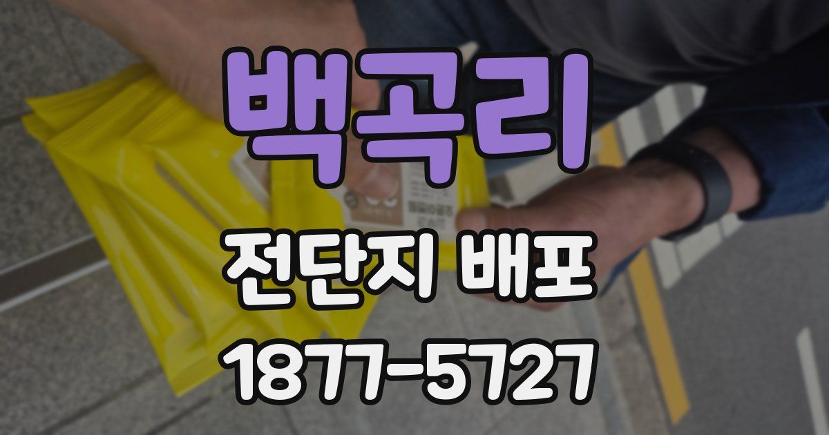백곡리 전단지 배포