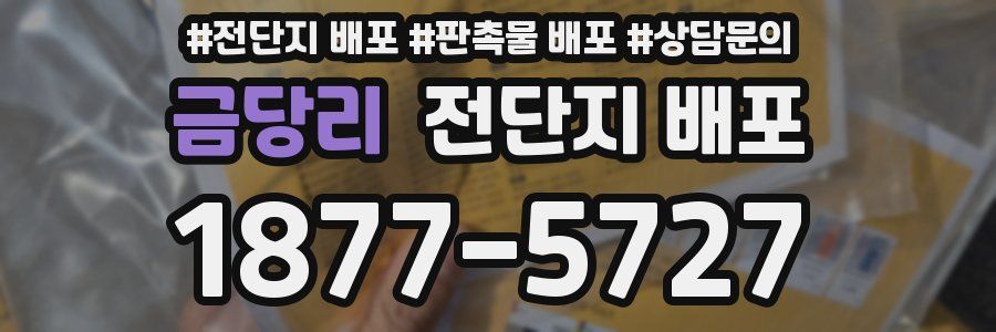 금당리 전단지 배포