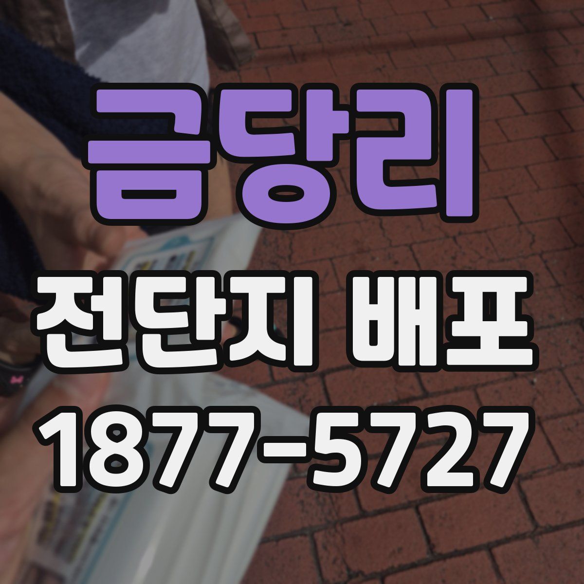 금당리 전단지 배포