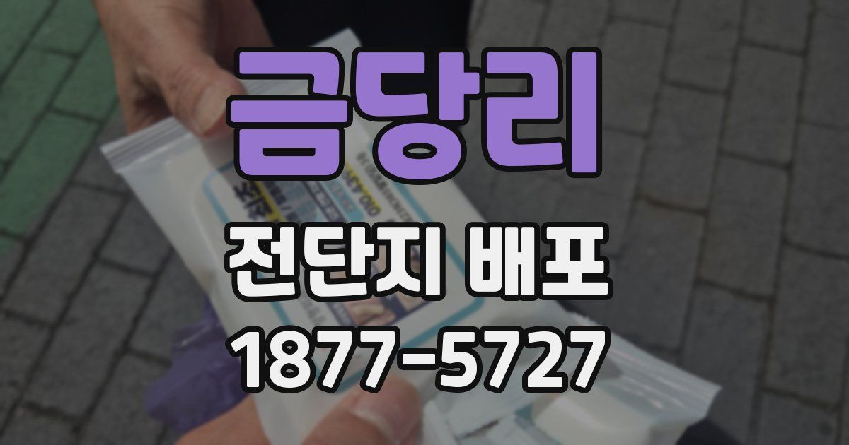 금당리 전단지 배포