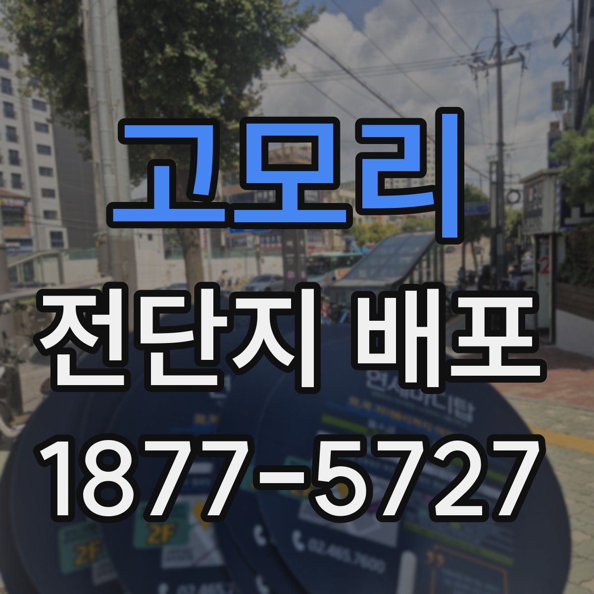 고모리 전단지 배포
