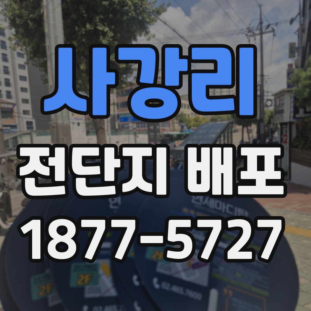 사강리 전단지 배포