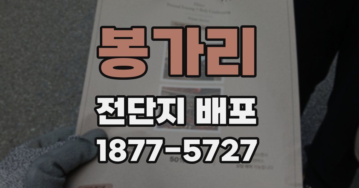 봉가리 전단지 배포