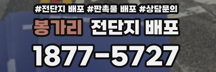 봉가리 전단지 배포