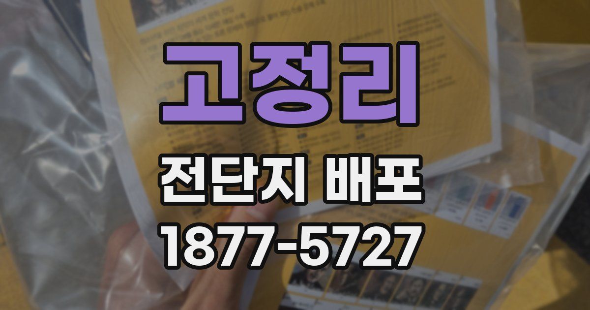 고정리 전단지 배포