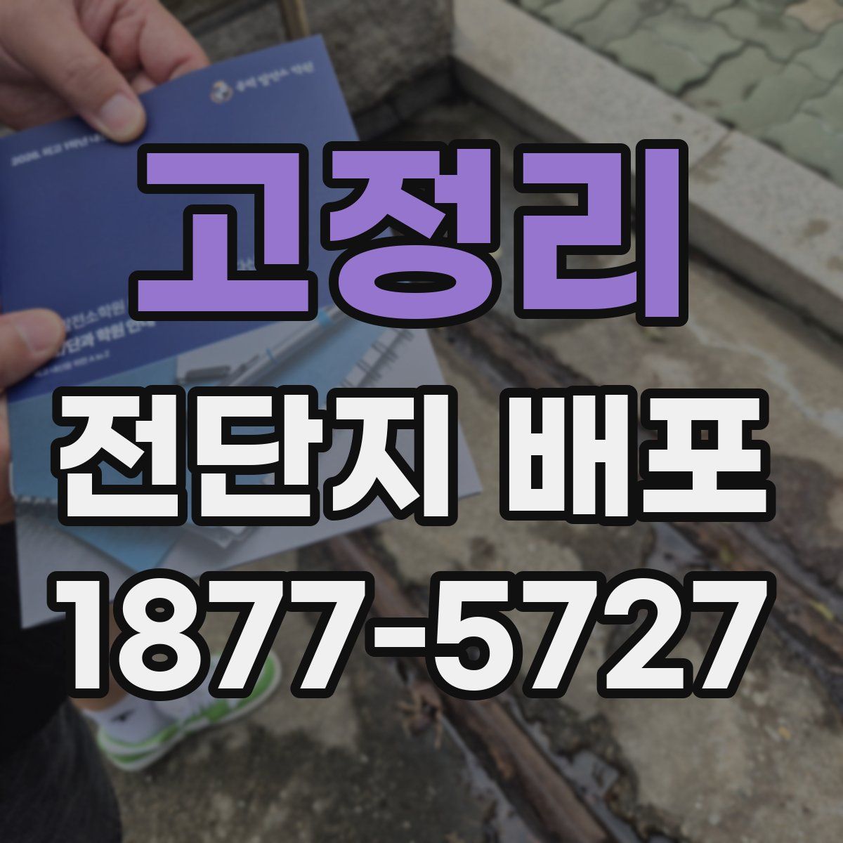 고정리 전단지 배포