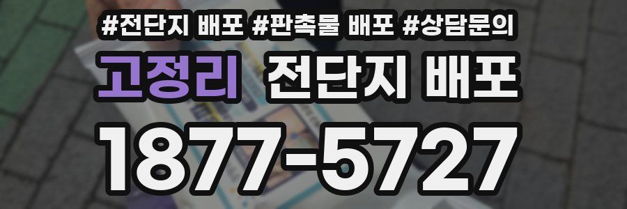 고정리 전단지 배포