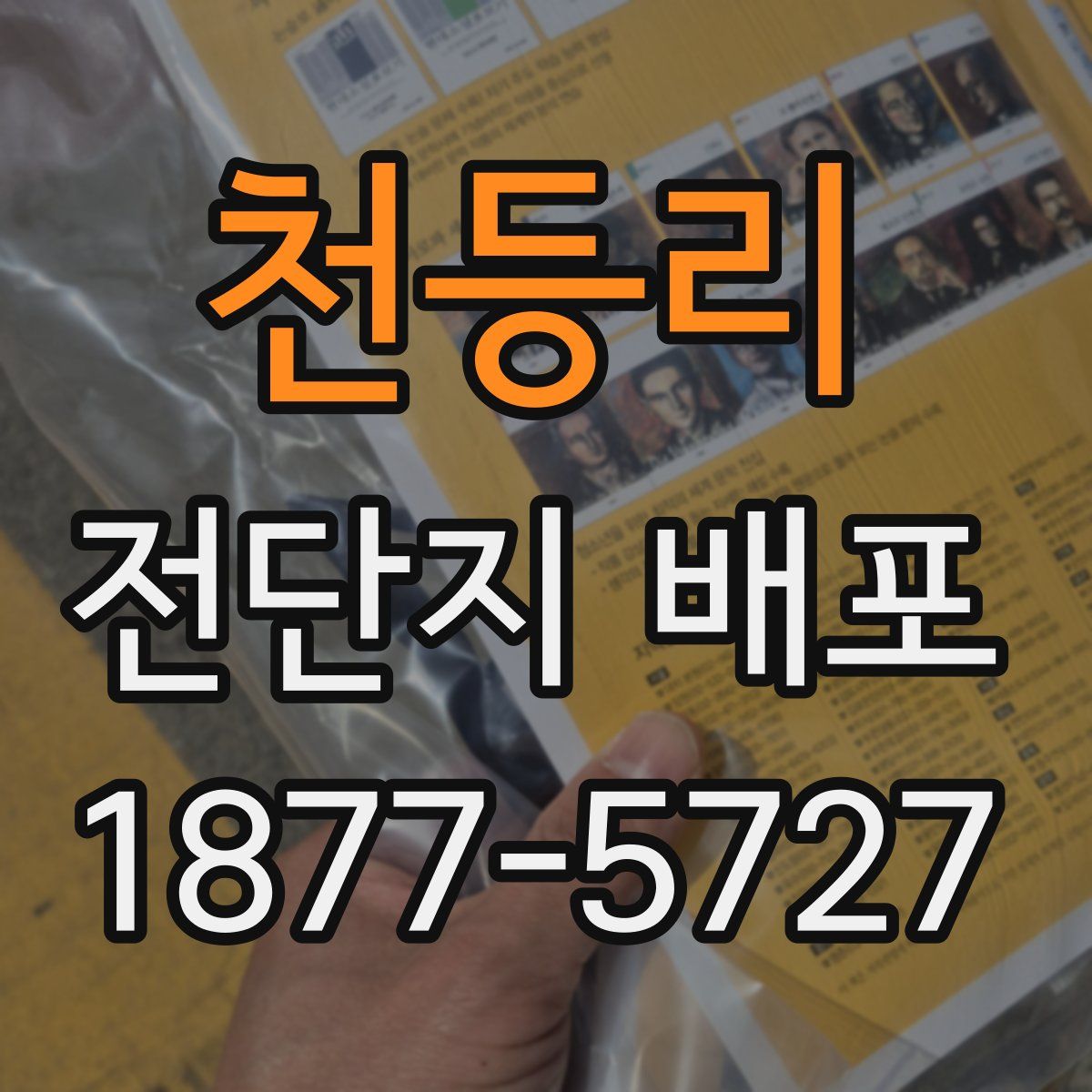천등리 전단지 배포