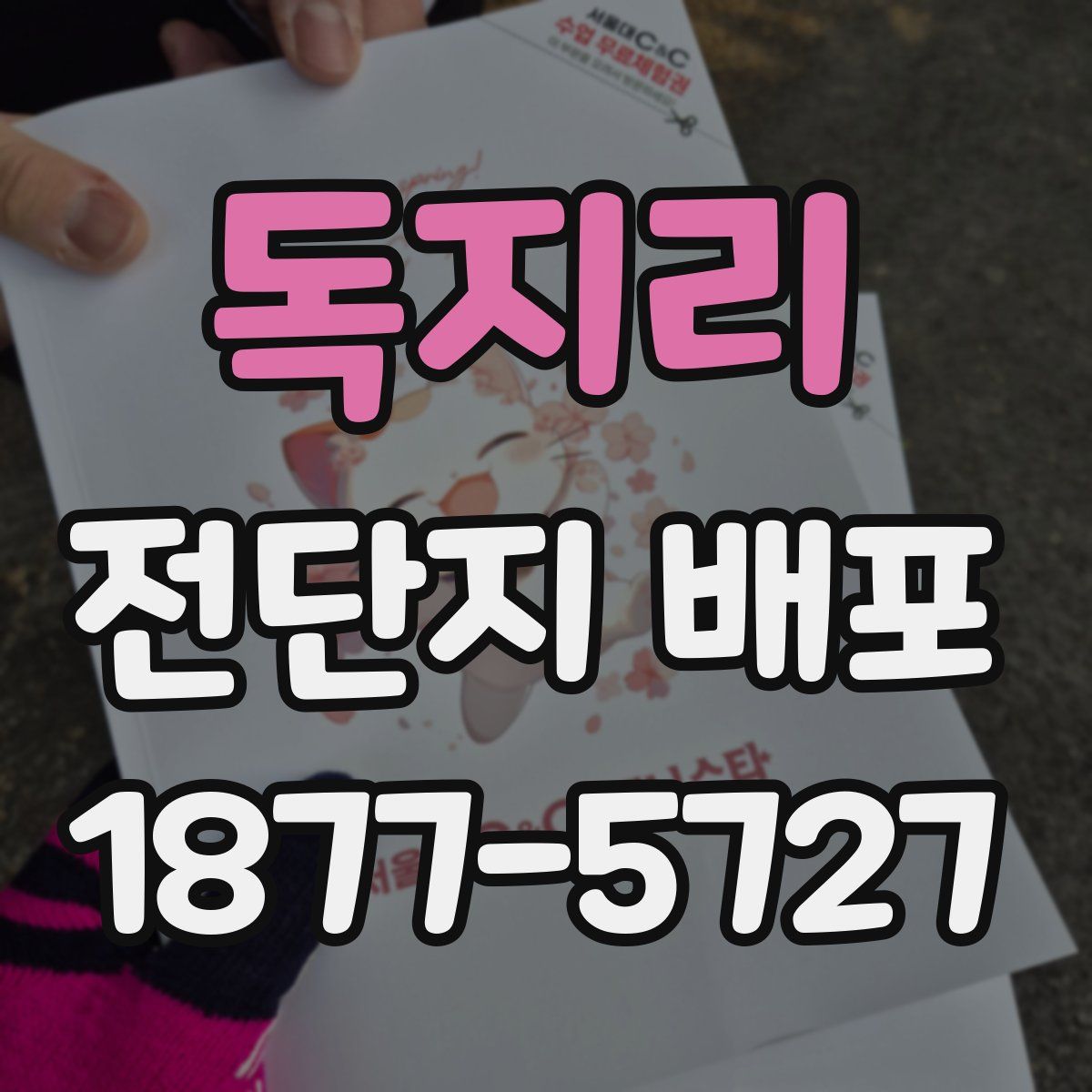독지리 전단지 배포