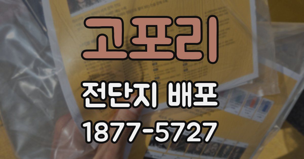 고포리 전단지 배포