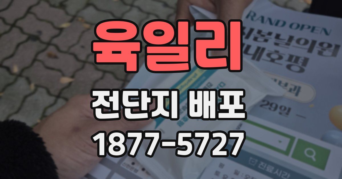 육일리 전단지 배포