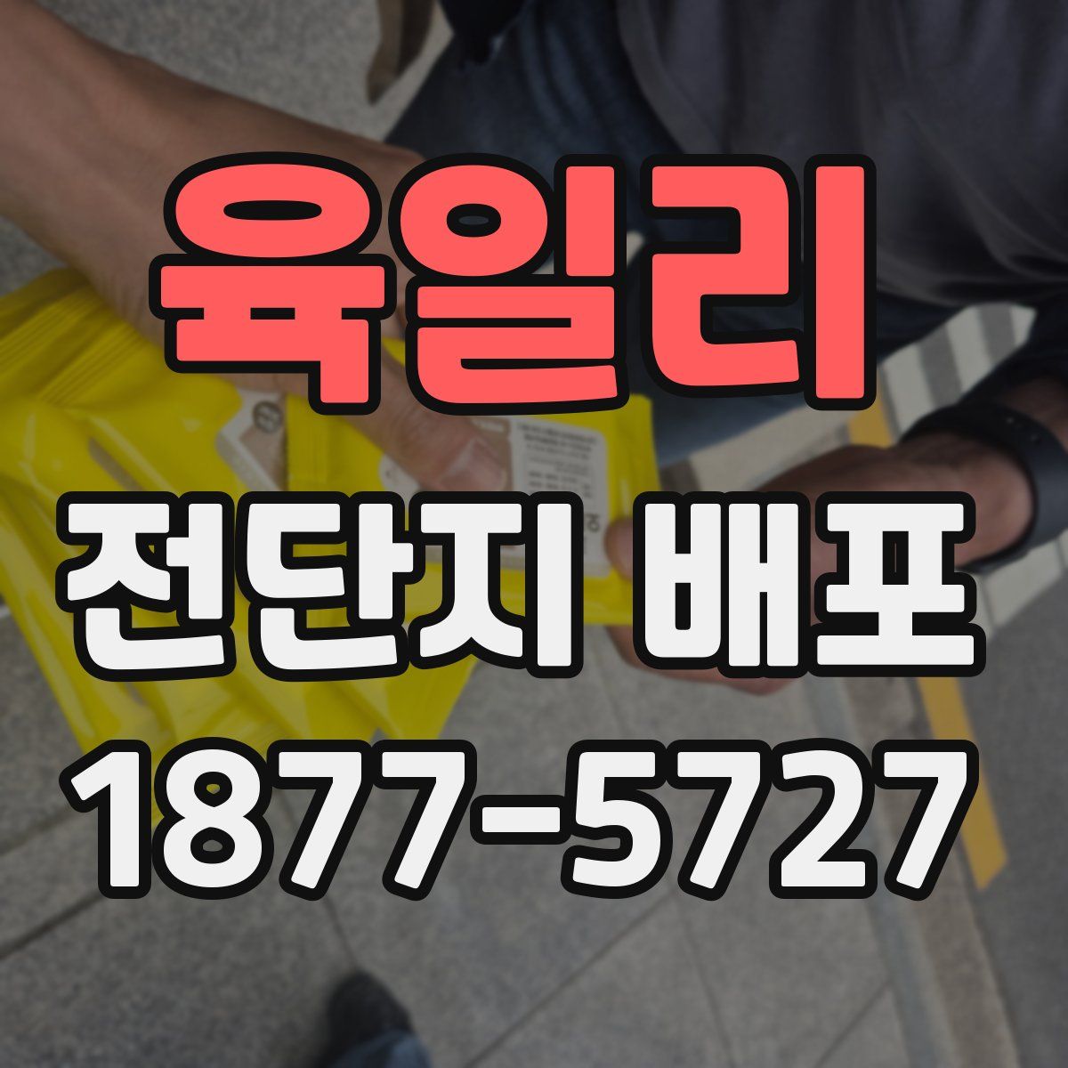 육일리 전단지 배포