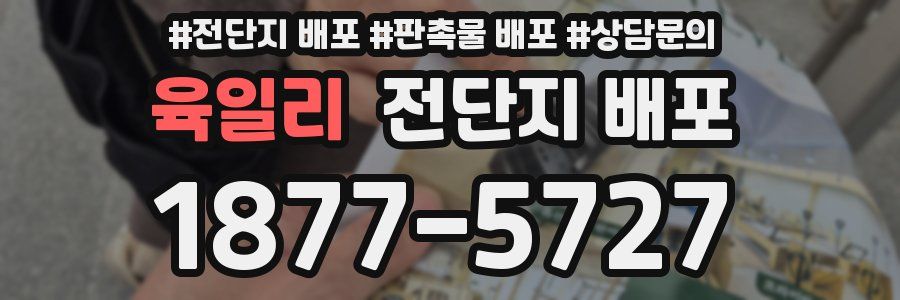 육일리 전단지 배포