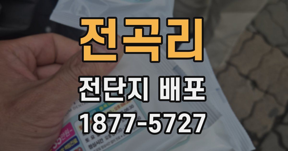 전곡리 전단지 배포
