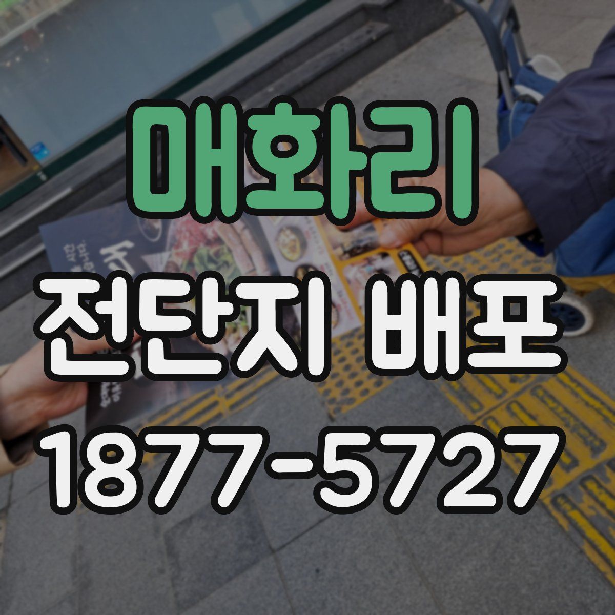 매화리 전단지 배포