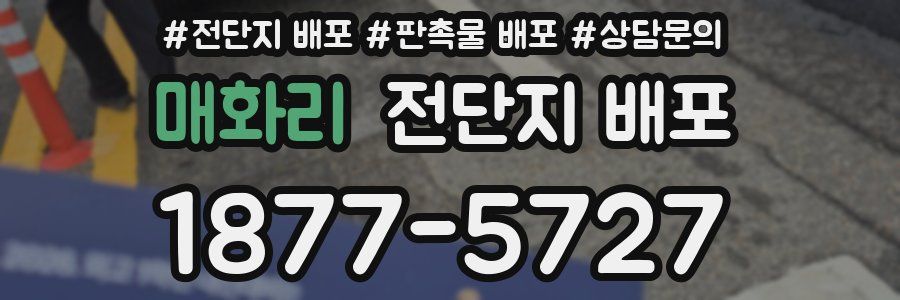 매화리 전단지 배포