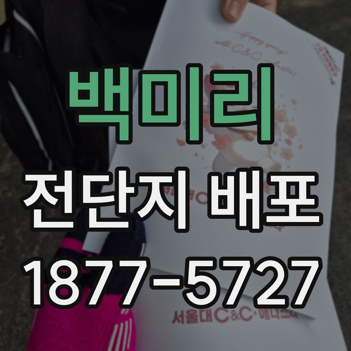 백미리 전단지 배포