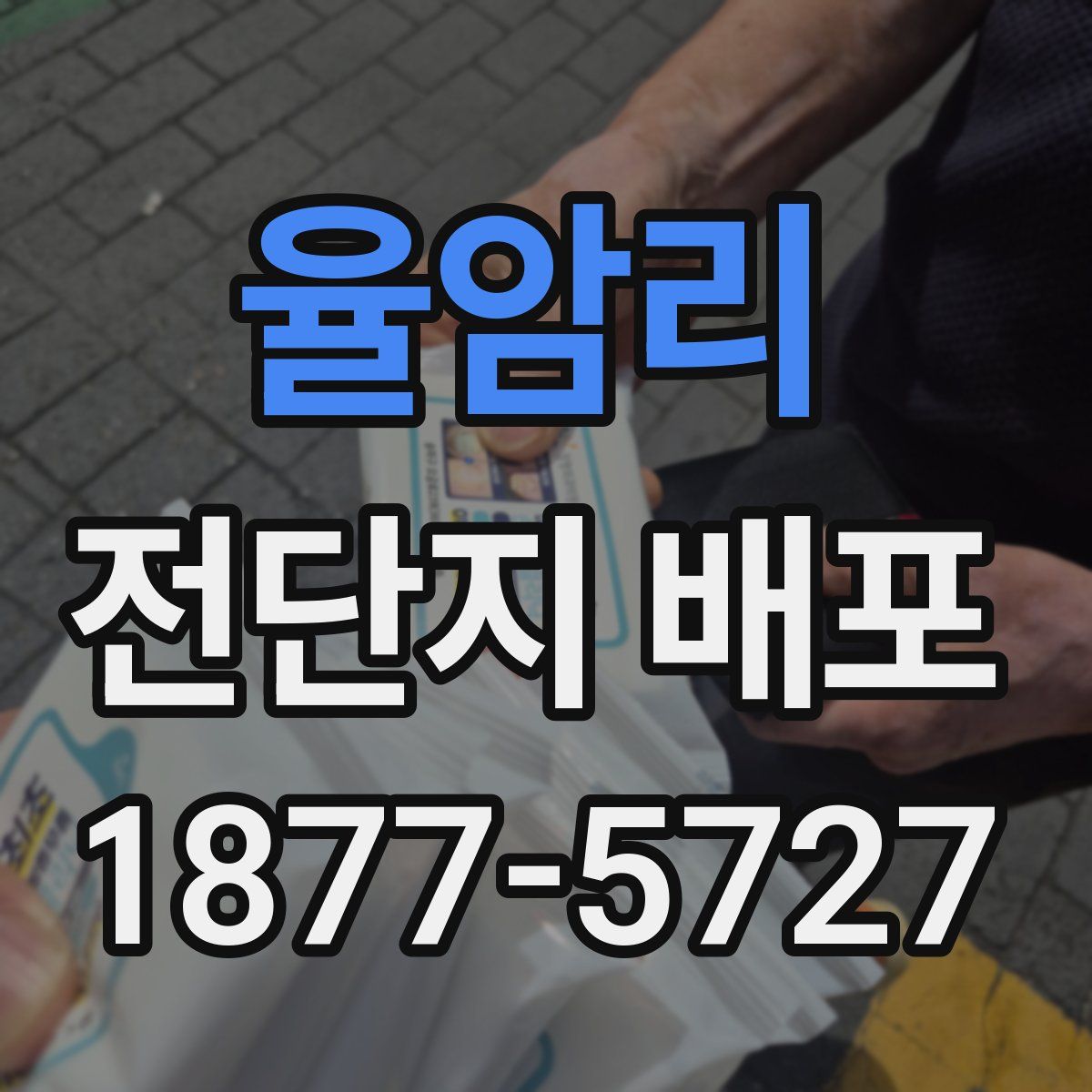 율암리 전단지 배포
