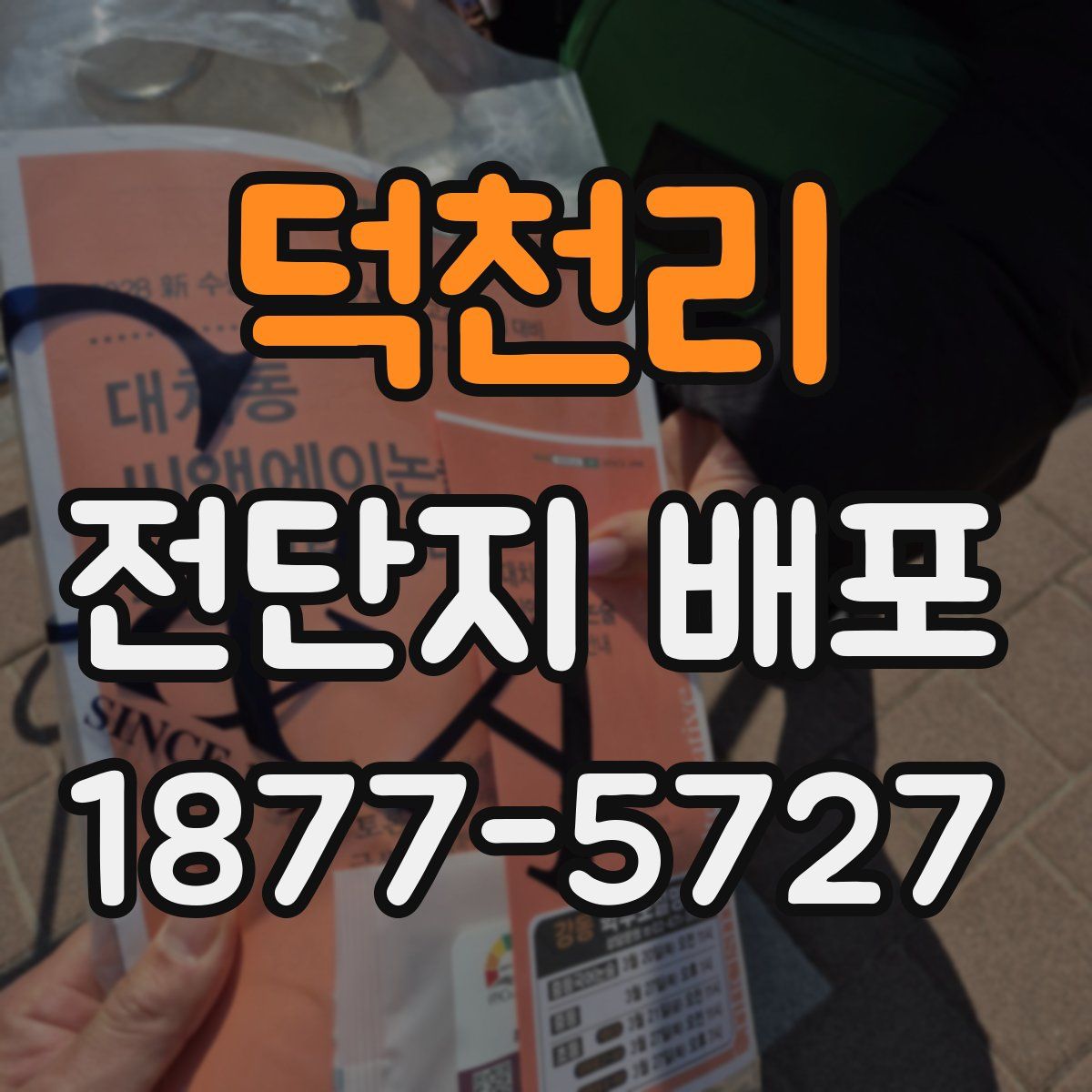 덕천리 전단지 배포