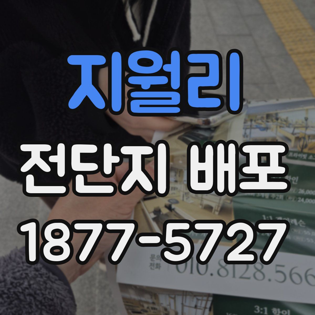 지월리 전단지 배포
