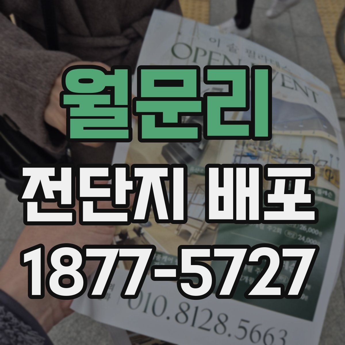 월문리 전단지 배포