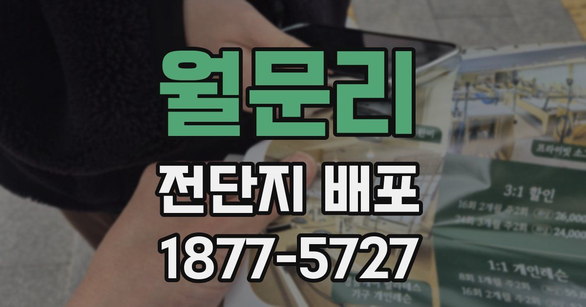 월문리 전단지 배포