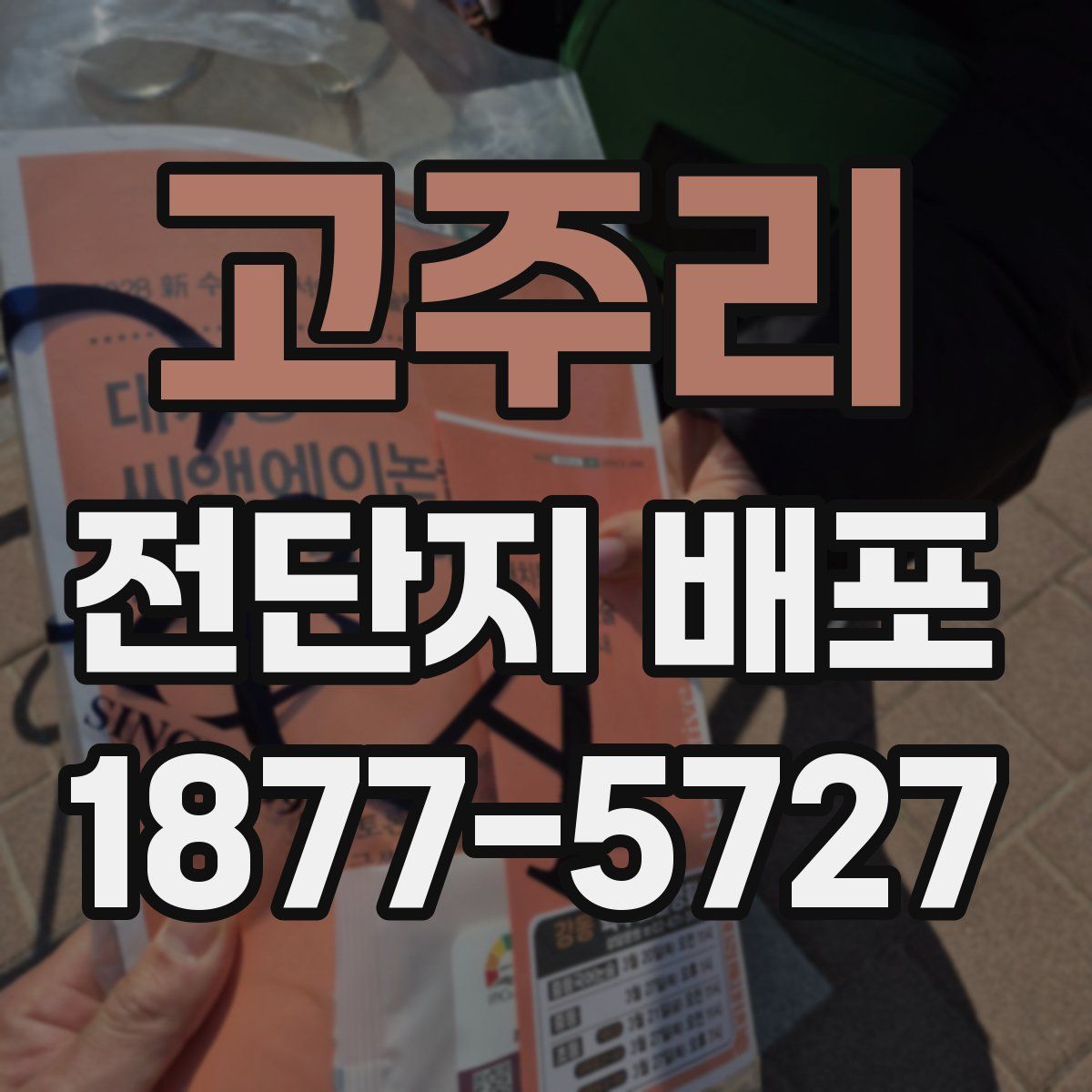 고주리 전단지 배포