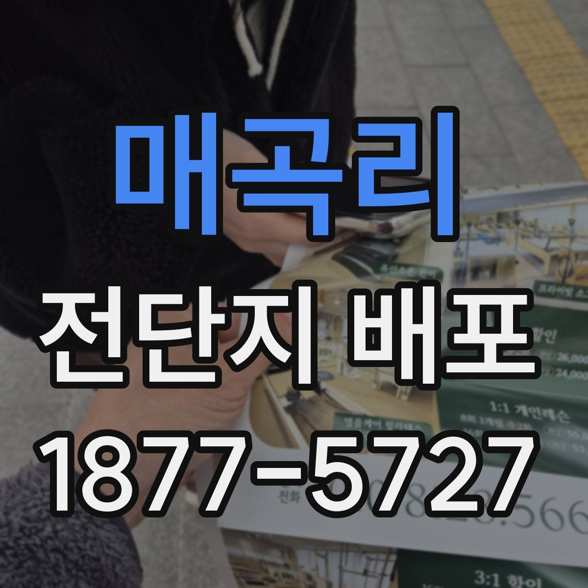 매곡리 전단지 배포