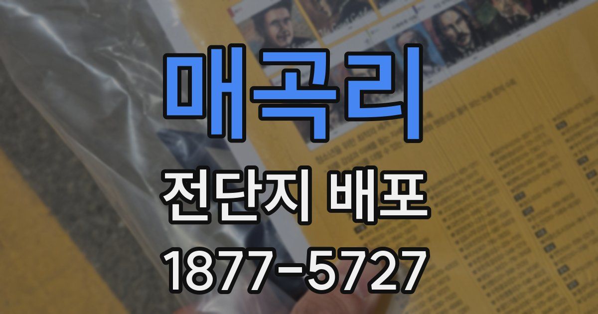 매곡리 전단지 배포
