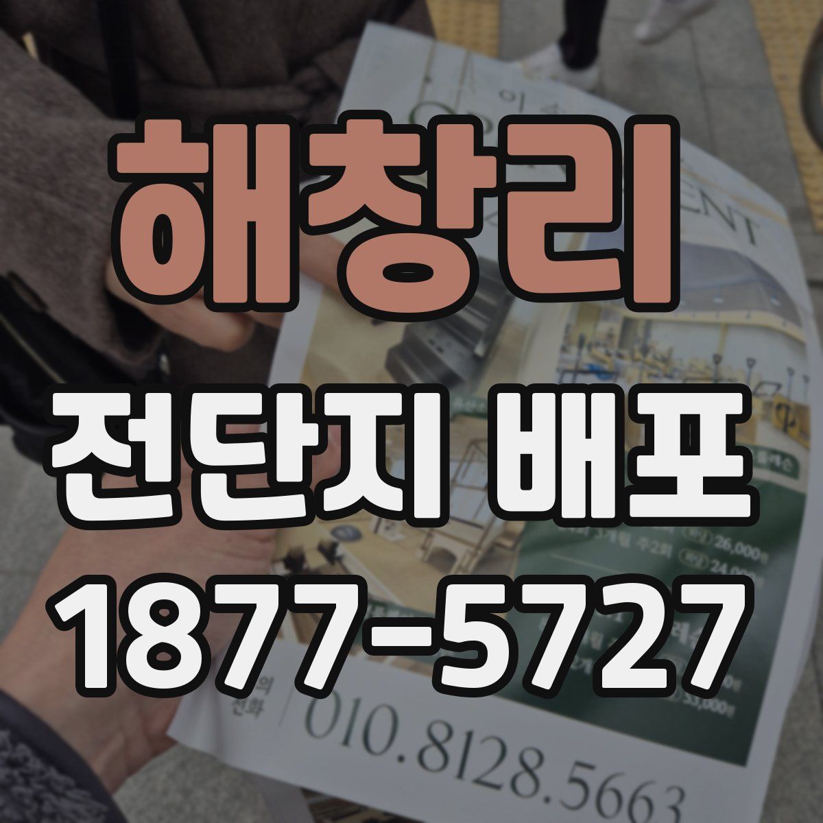 해창리 전단지 배포