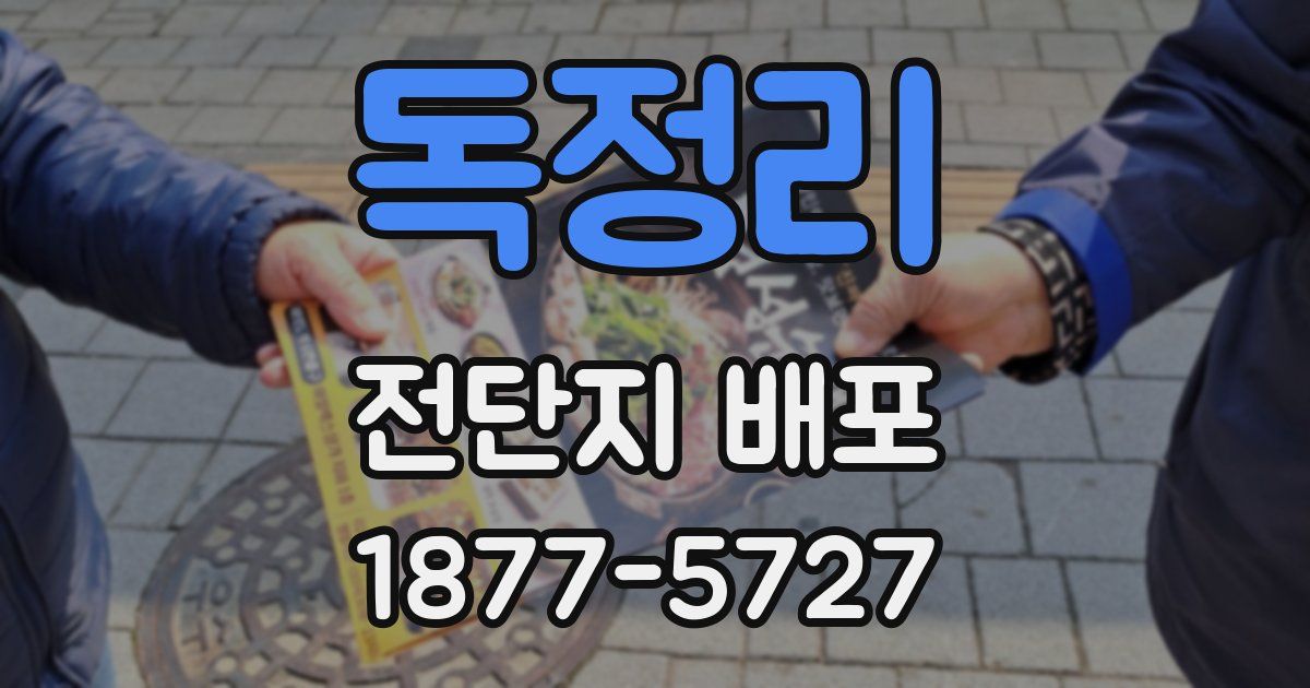 독정리 전단지 배포