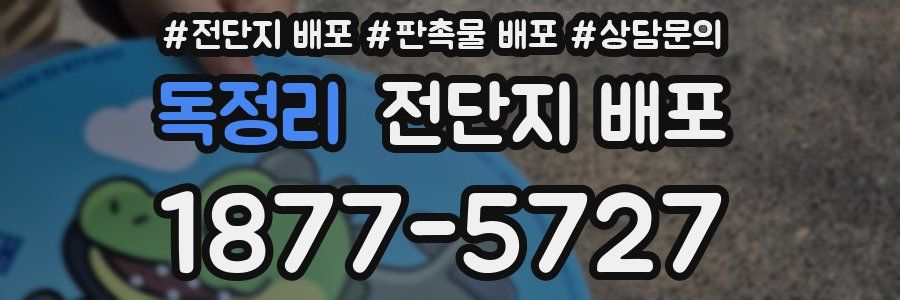 독정리 전단지 배포