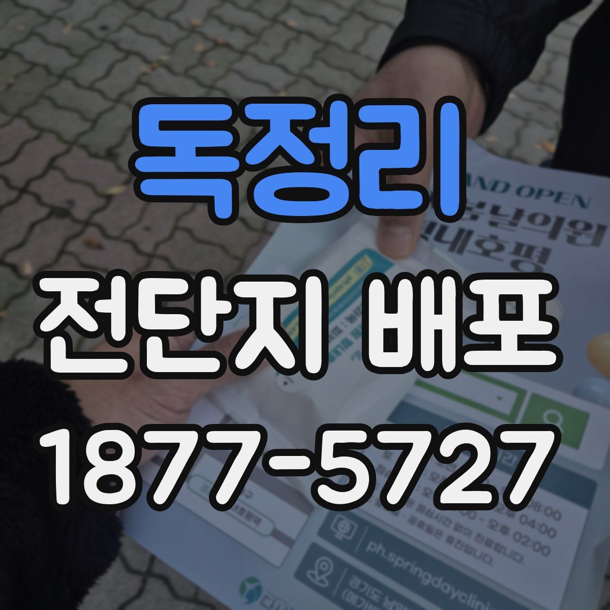 독정리 전단지 배포