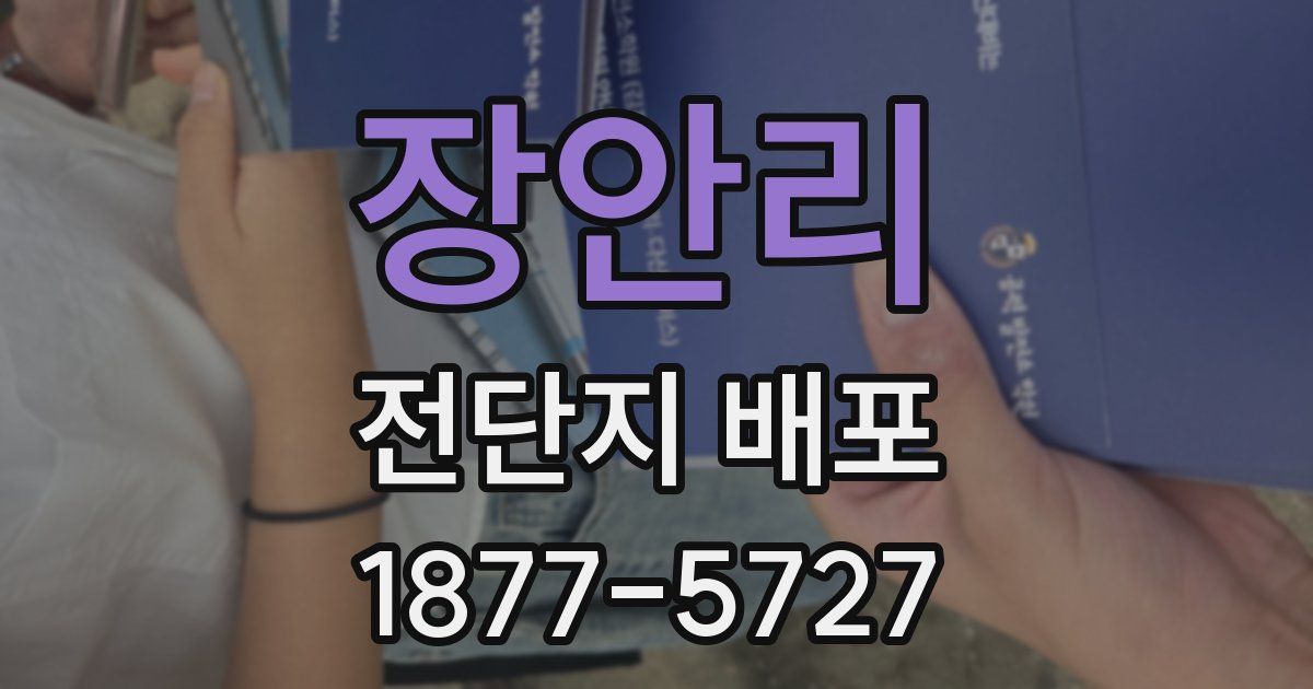 장안리 전단지 배포