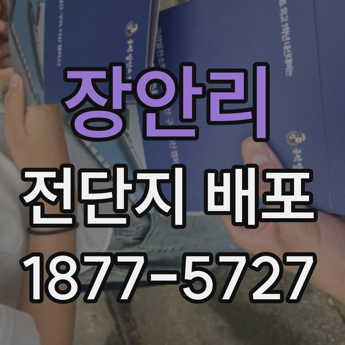 장안리 전단지 배포