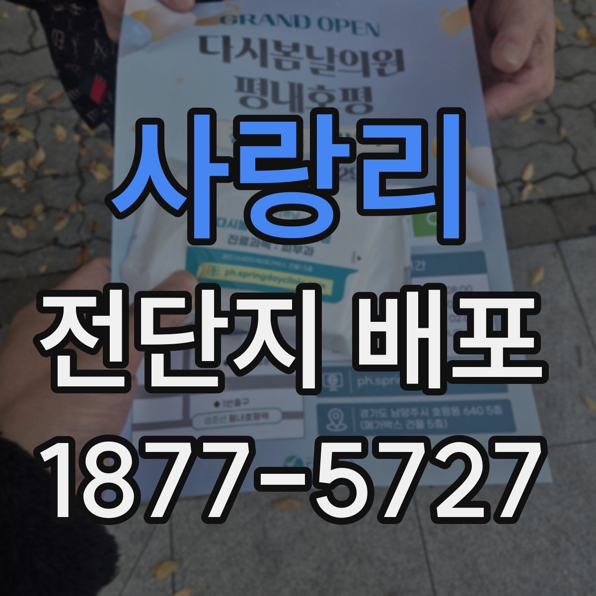 사랑리 전단지 배포