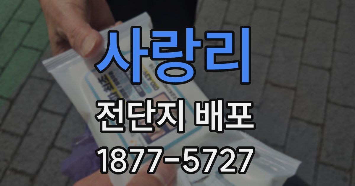 사랑리 전단지 배포
