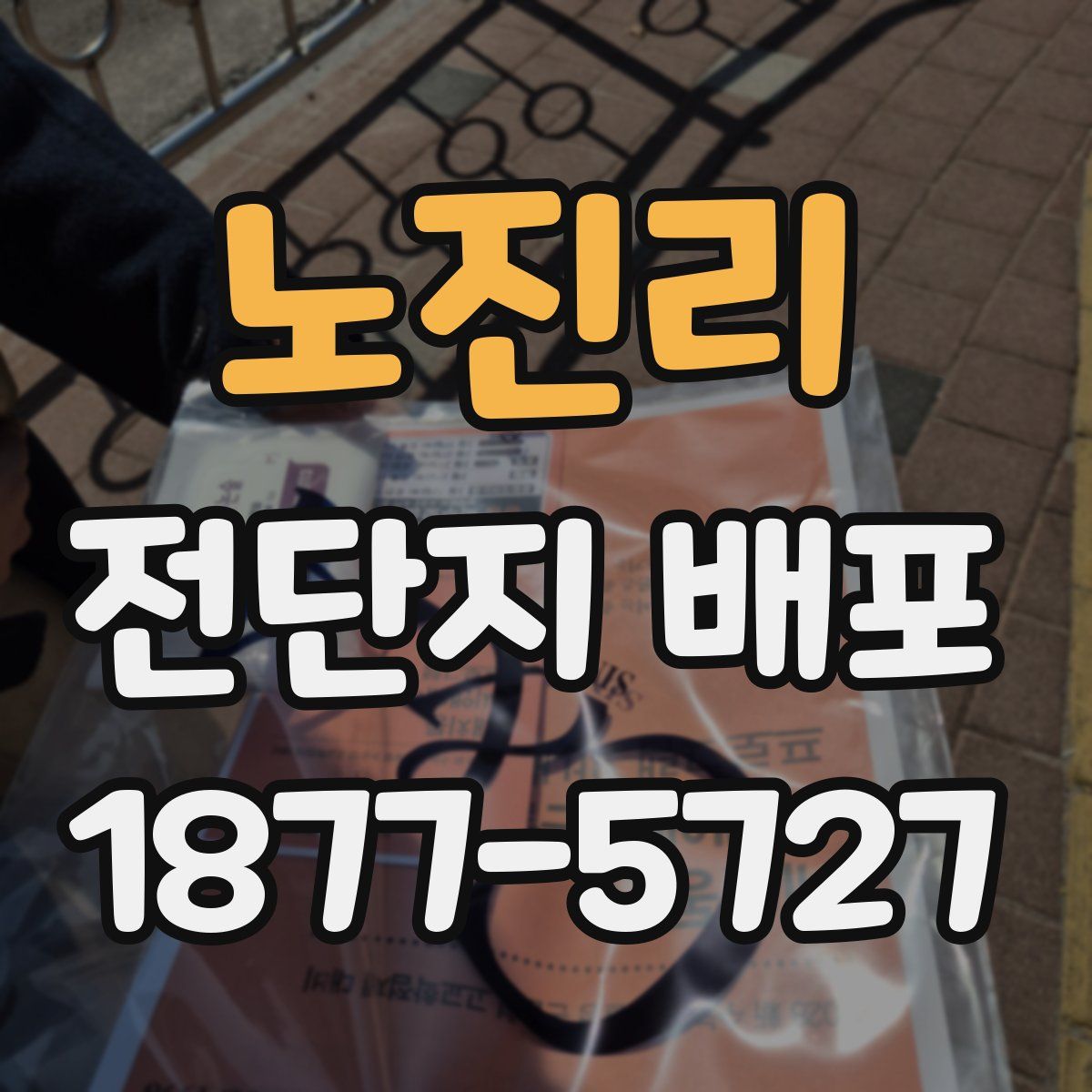 노진리 전단지 배포