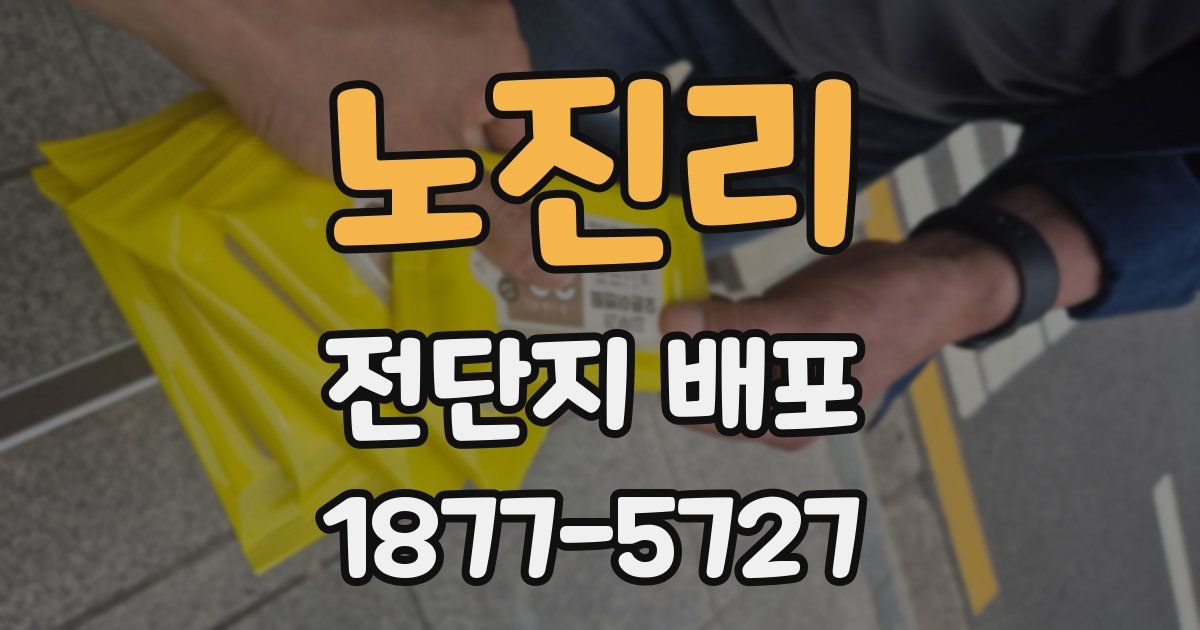 노진리 전단지 배포
